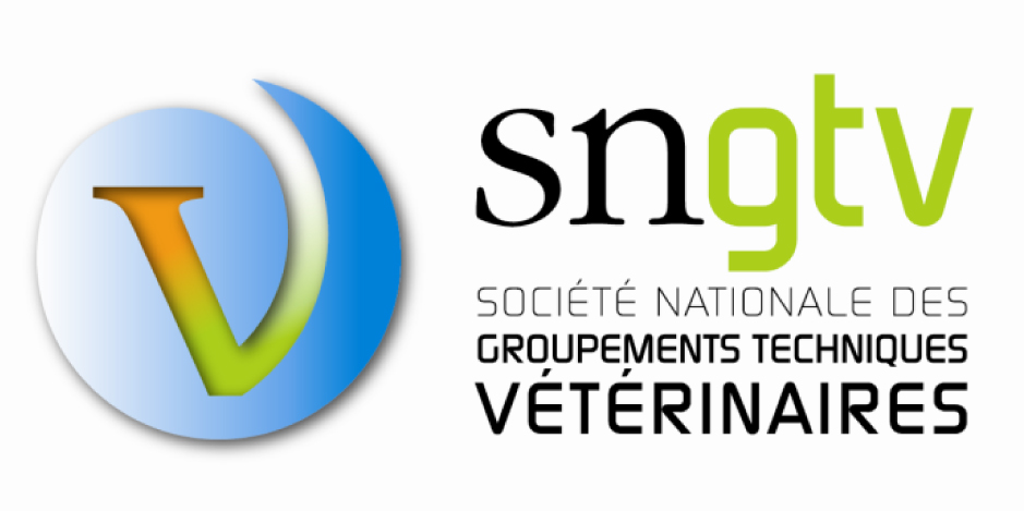 logo SNGTV