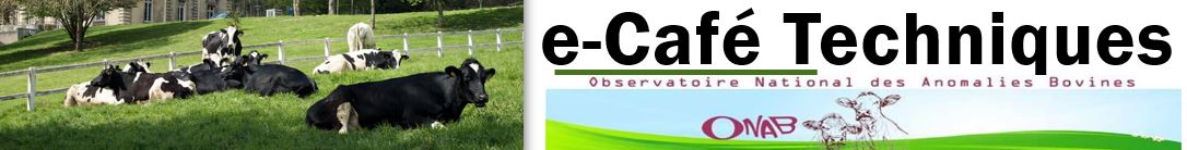 Les eCaféTechniques de l'ONAB